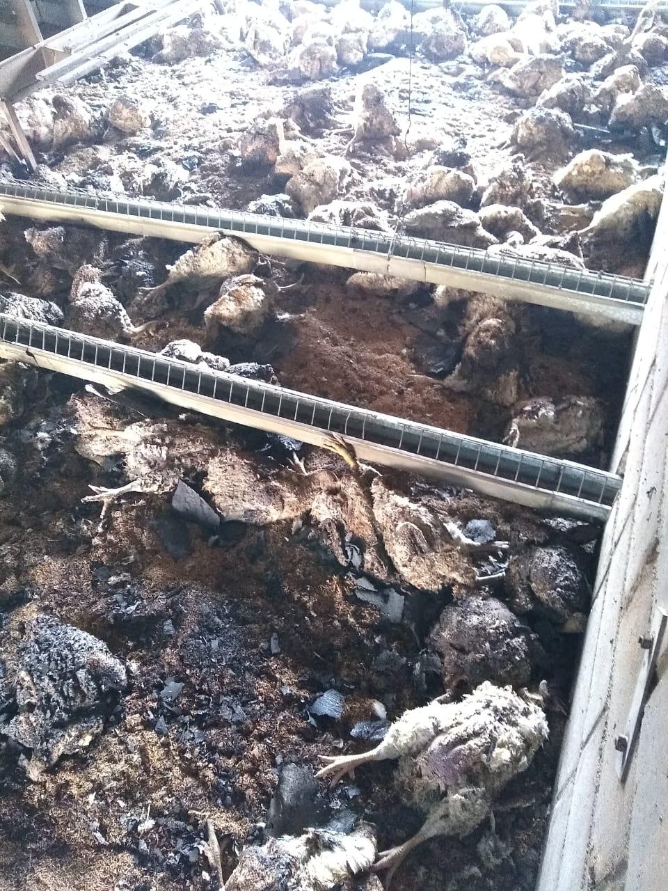 493ae7ef-2670-4b81-86dd-1b556ed4a31c