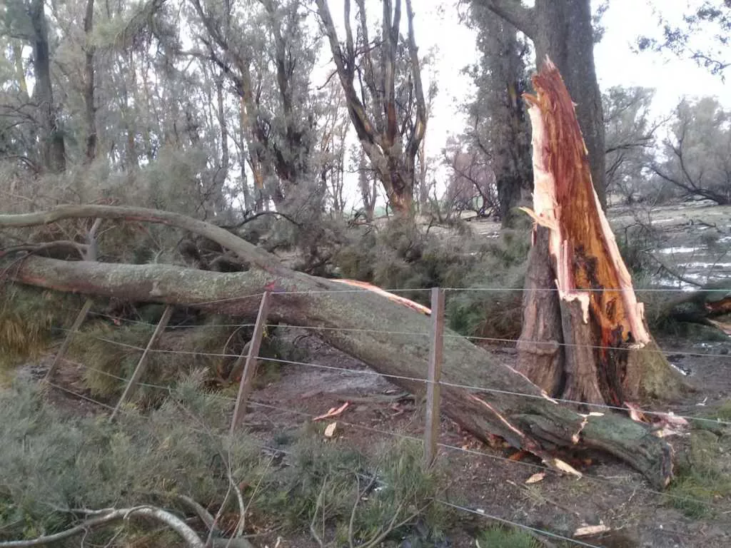 3ac63bd7-0ec2-48b8-9dbb-13fe2afa640d (FILEminimizer)