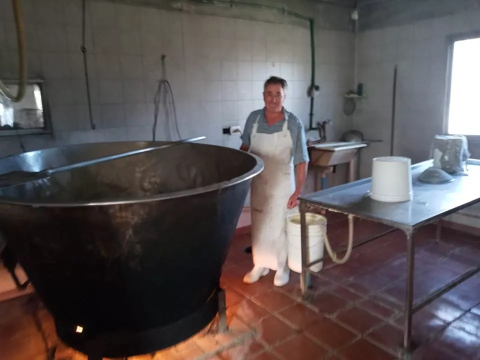 330823770_3371499099784940_6263515037097497779_n