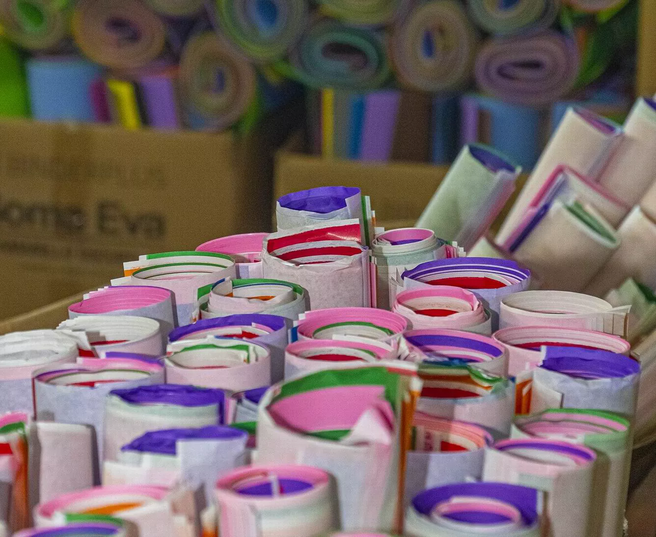 241152_resize-of-_min6798