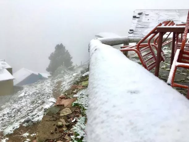 331603626_894955135167140_4344808066014205522_n