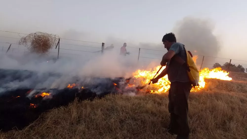 9e9f8088-e84f-428d-972f-16596c4c445b