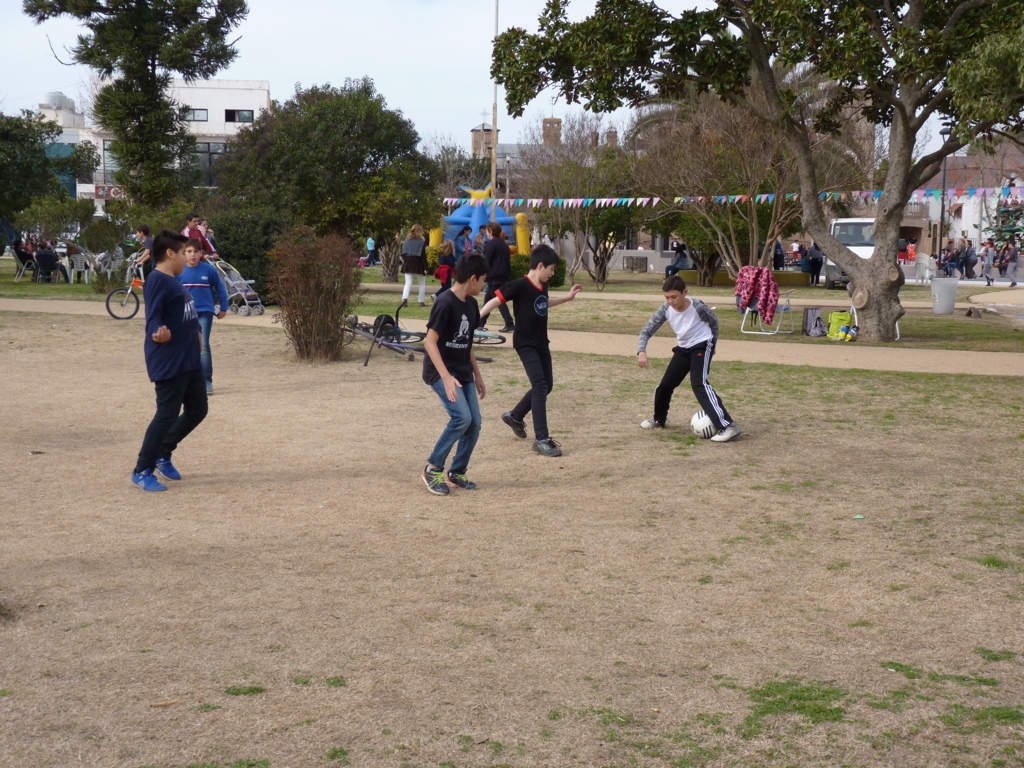 P1240239 (FILEminimizer)