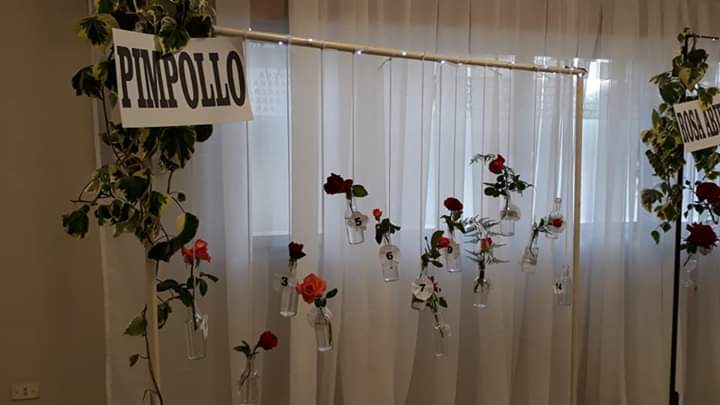 FB_IMG_1573355525362