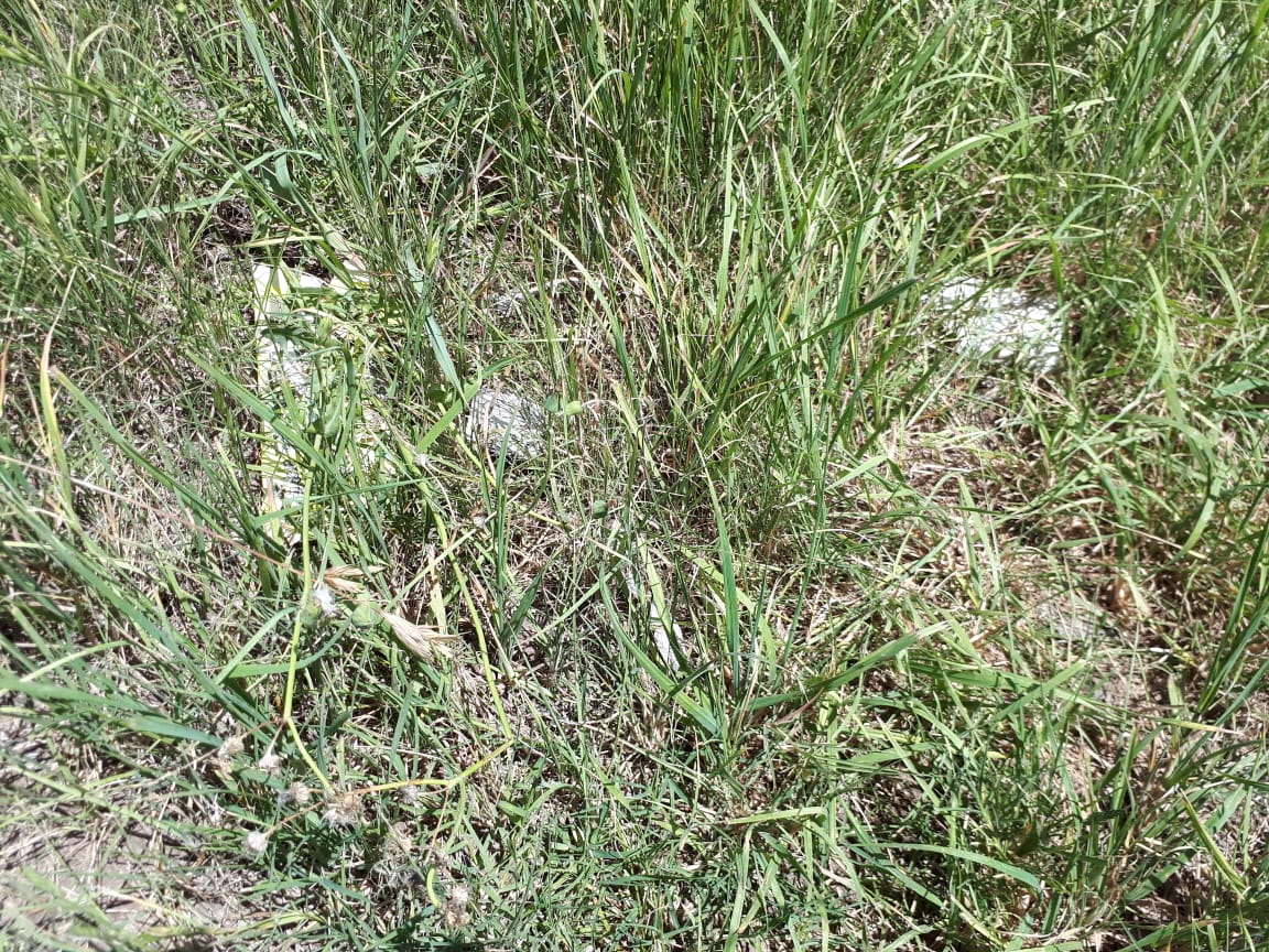 97c3edce-ecfa-4ad8-a0a0-220f0a05a2d9