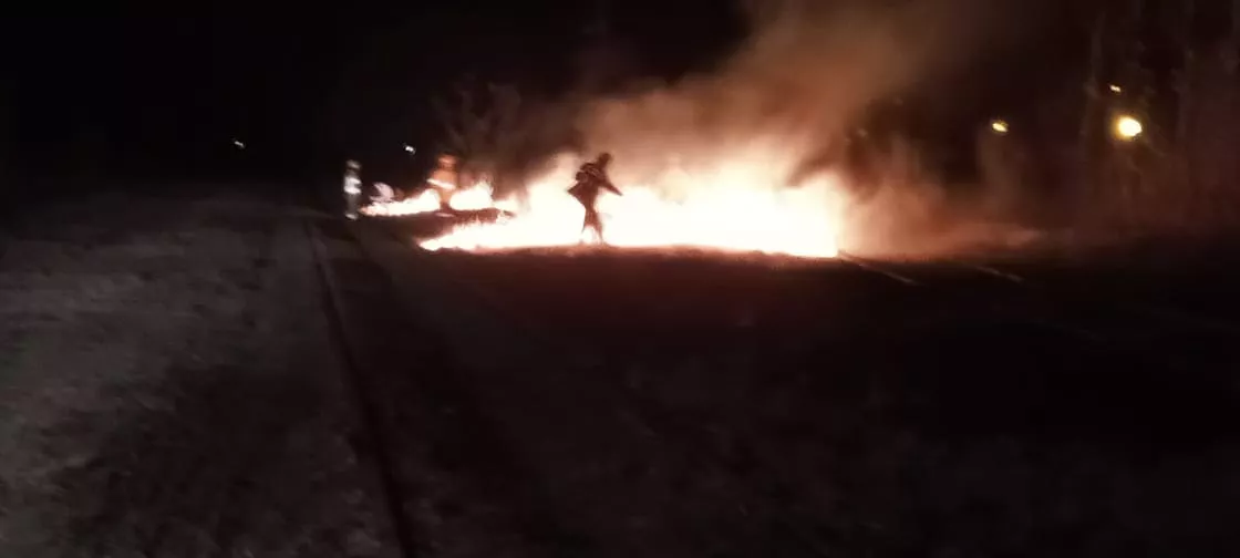 cc09f788-ca20-470e-8085-8aee69bf0066