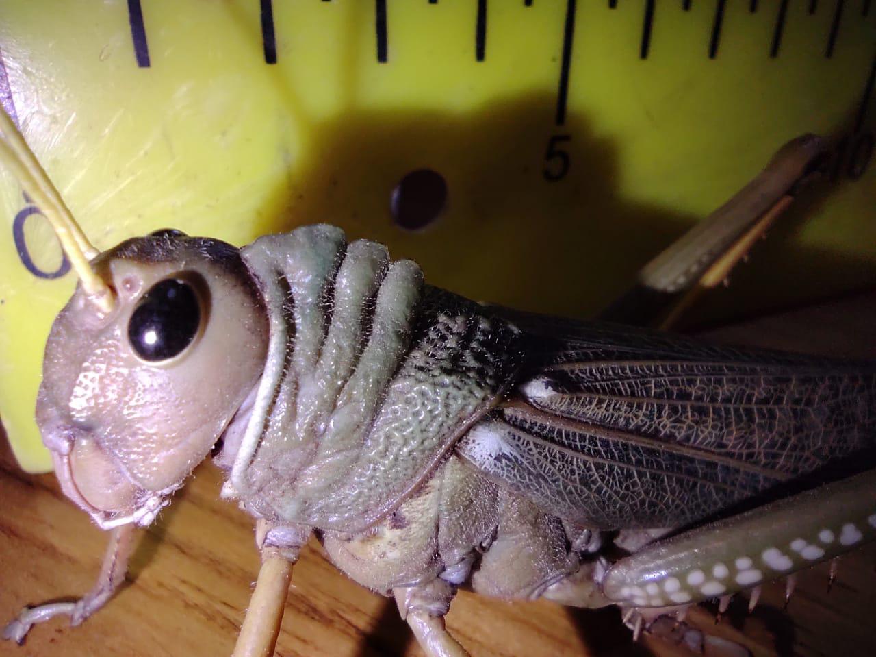 9c5f9a33-98e3-4d2c-9ebf-85b56648bf4d