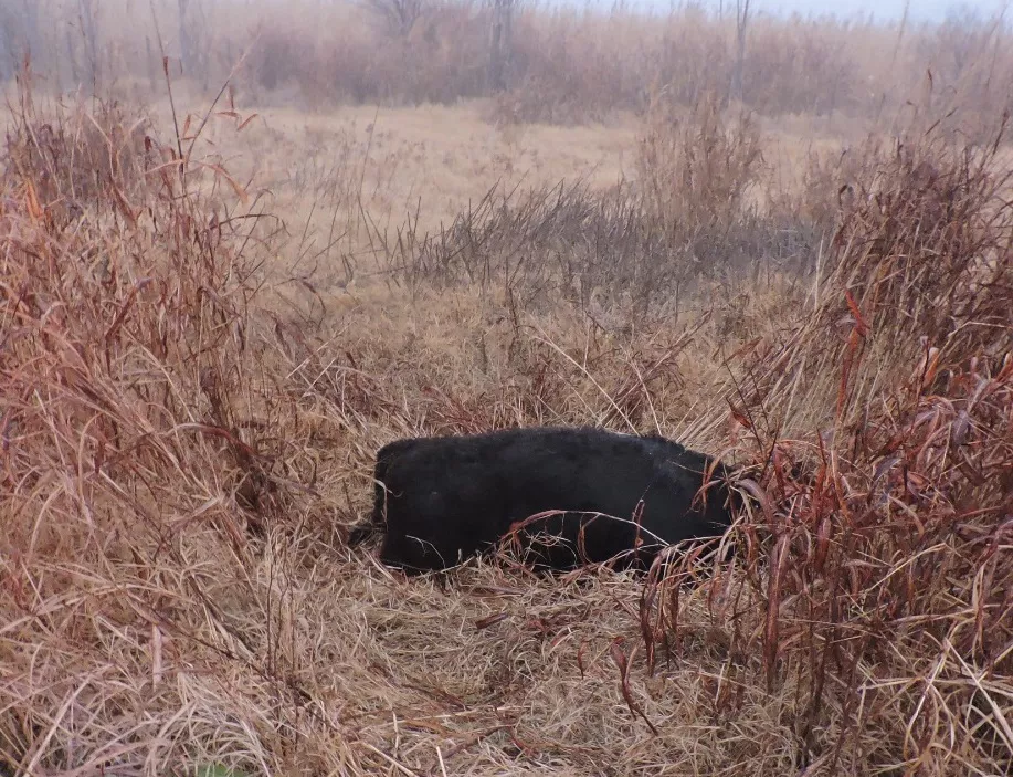 fd264f15-b0ef-454d-a961-c09854cd2d4d