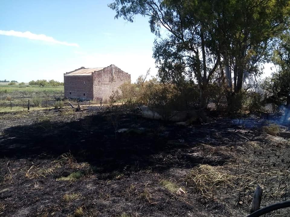 INCENDIO CAMPO PARERA 3
