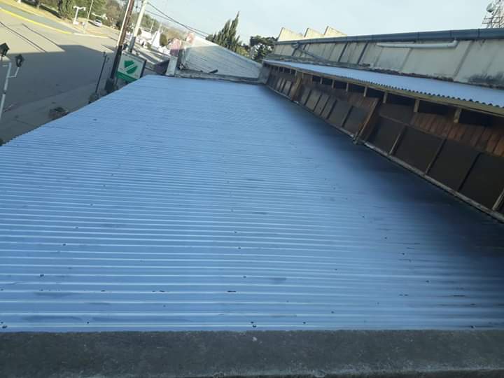 FB_IMG_1564062266876