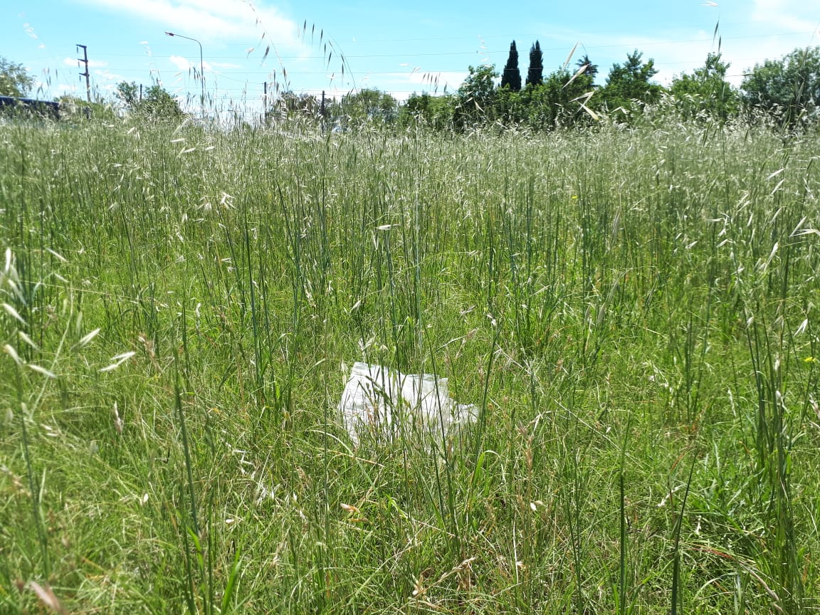 1e580ab2-612a-4f5c-a4f5-8db2009e7e65