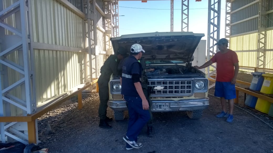 camioneta_carne