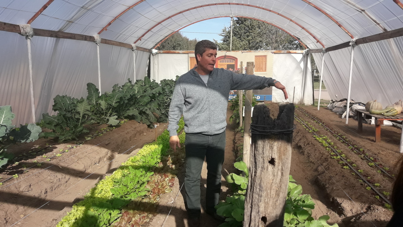 FERIA DE CIENCIAS 2019 031 (FILEminimizer)