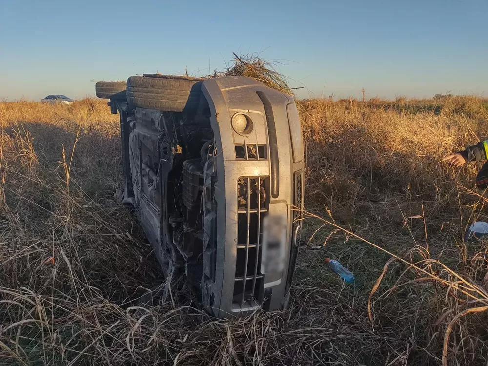 50d088d7-1bef-416f-adee-95d101280671