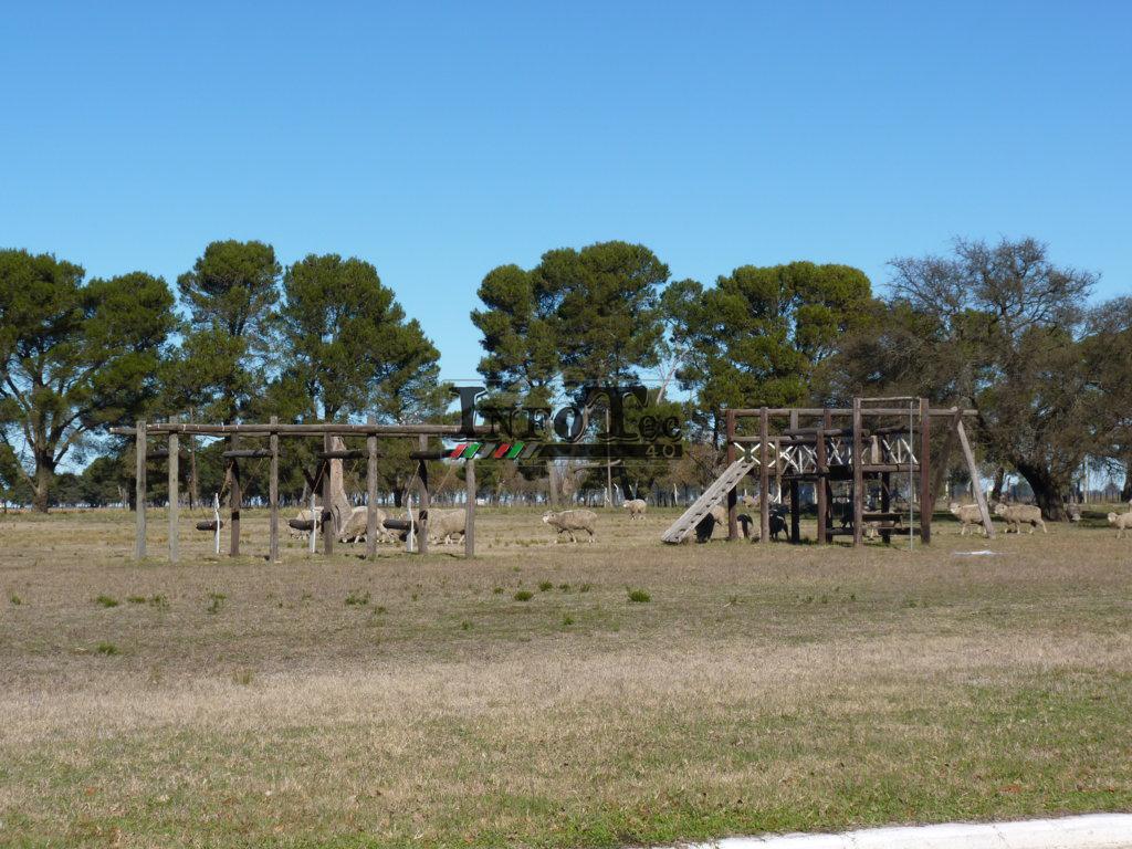 P1210740 (FILEminimizer)