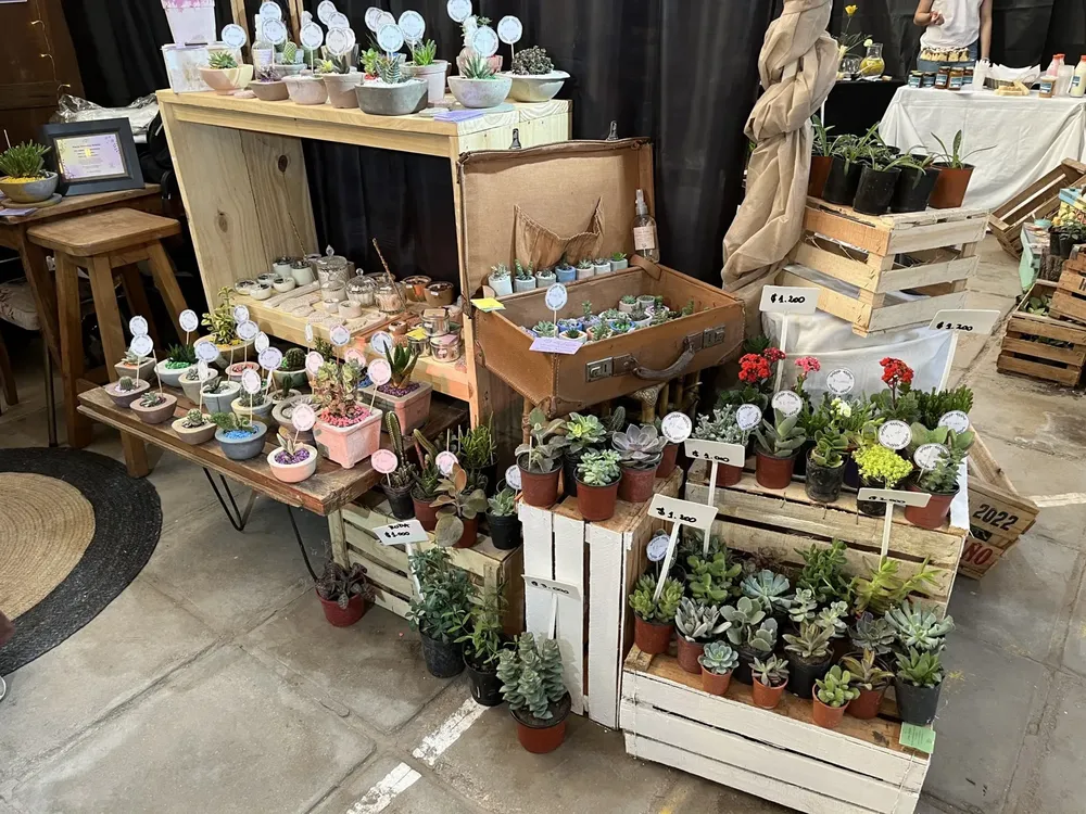 janas mistyka 8 (FILEminimizer)