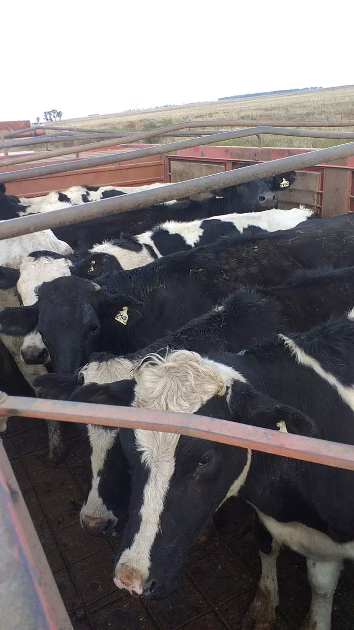 db9e498f-9c50-4d76-a523-514fc8a154d0