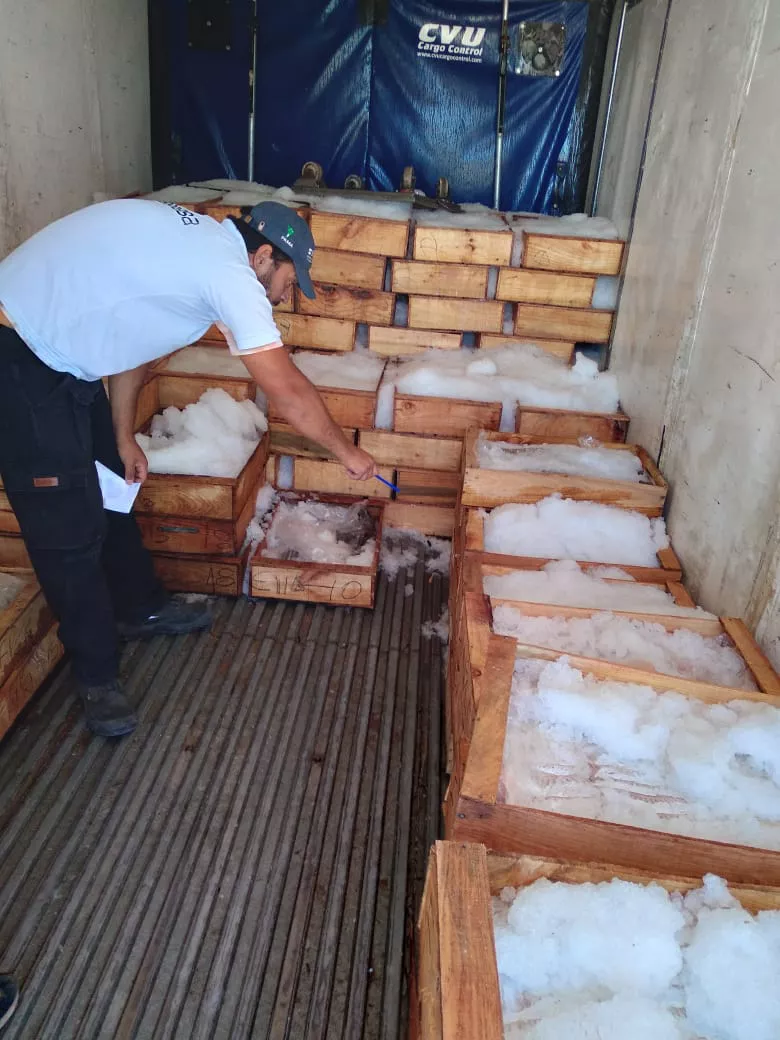 257d49d9-5181-45b2-932d-af43eee07196