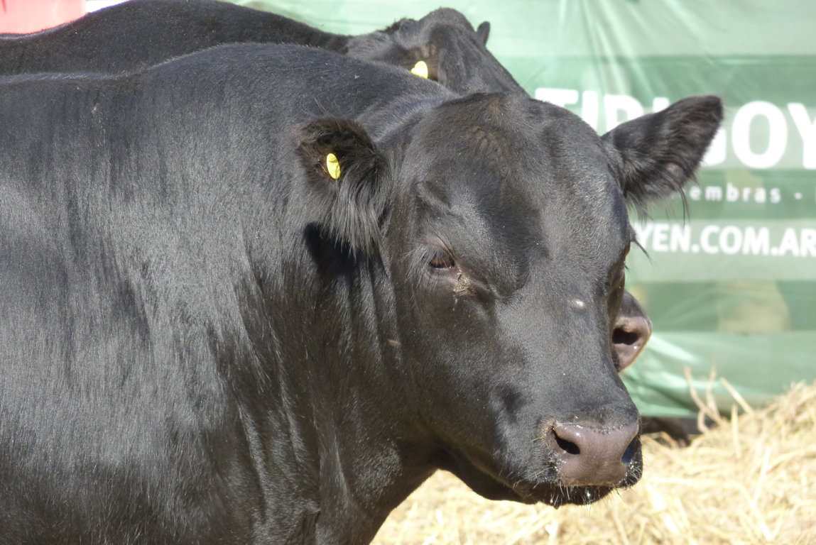 P1410876 (FILEminimizer)