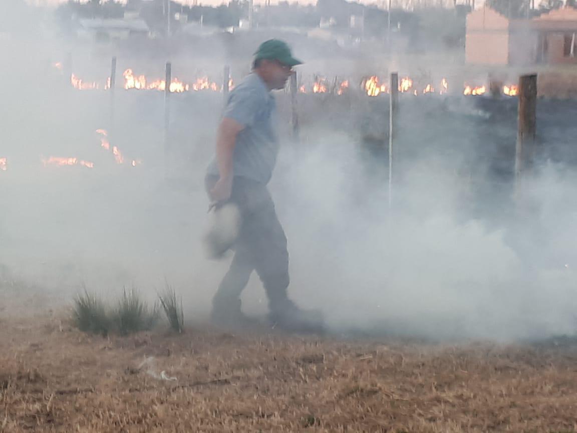 ac2ad5f3-029c-4dee-838d-ea145aafe46b