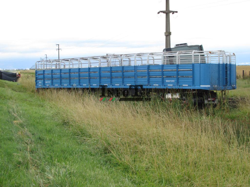 IMG_2312 (FILEminimizer)