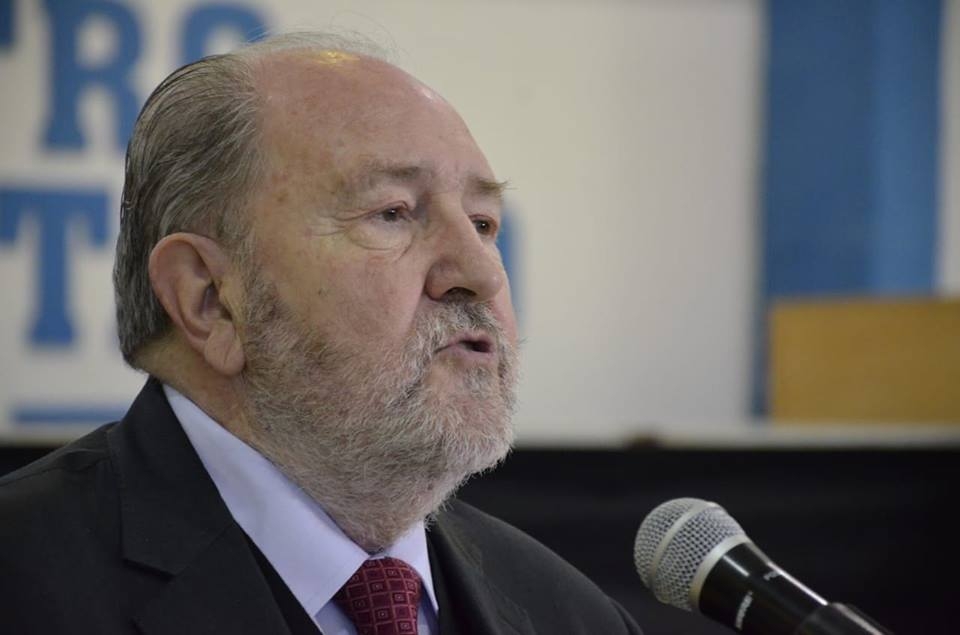 VERNA PRIMER PLANO