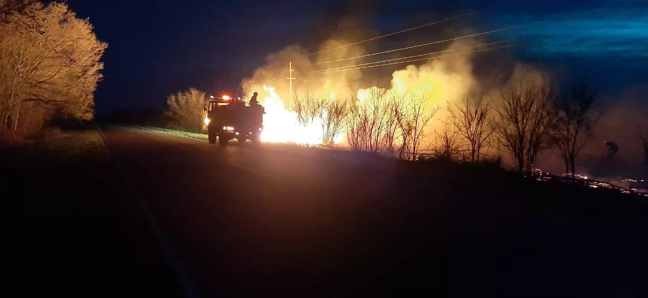 241756931_4632231190121850_1791220349657942635_n