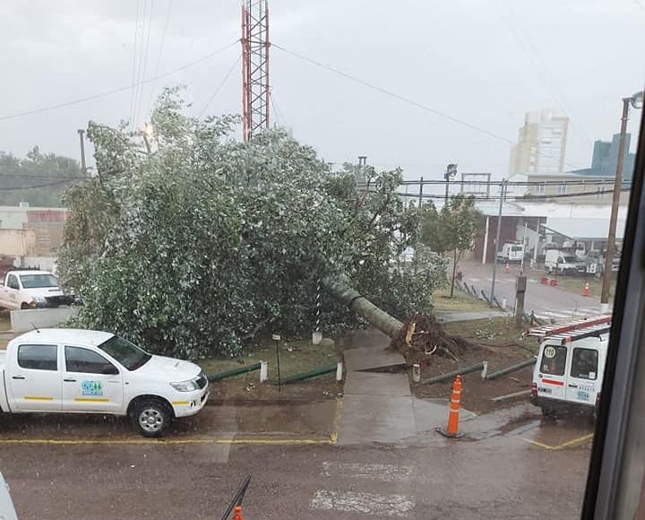 131980866_10224590452335854_8129453839911358878_n