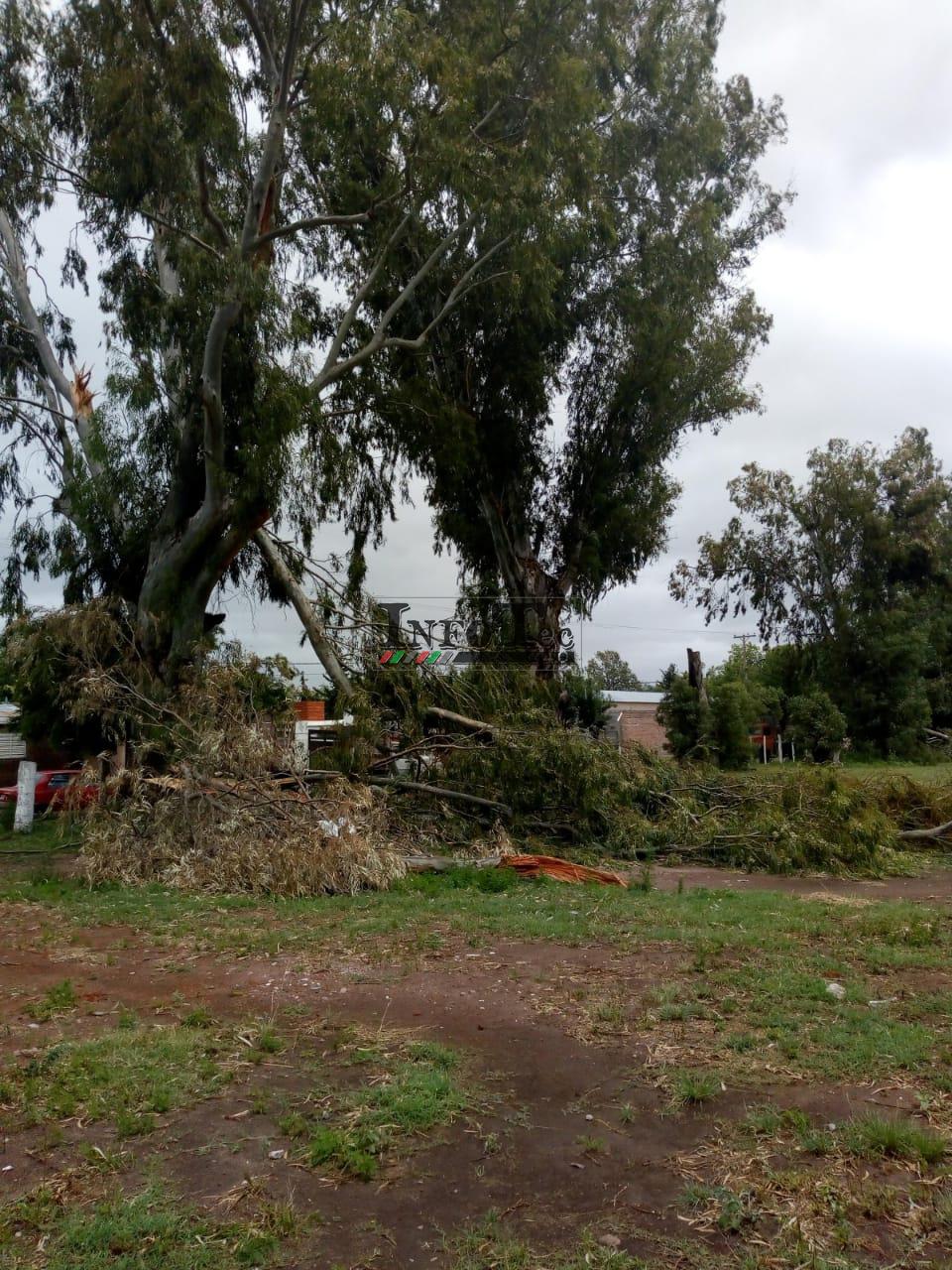 55544406-cc60-4ef0-a095-305e3a6fa832