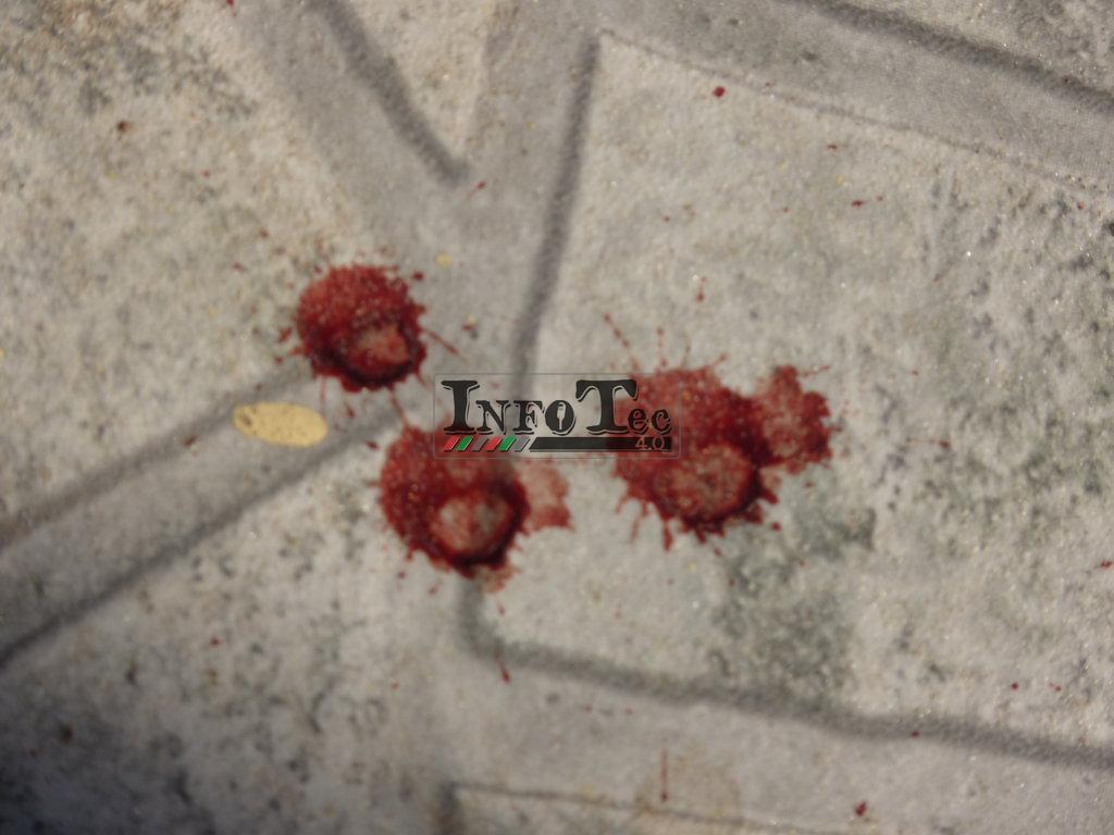 P1230361 (FILEminimizer)