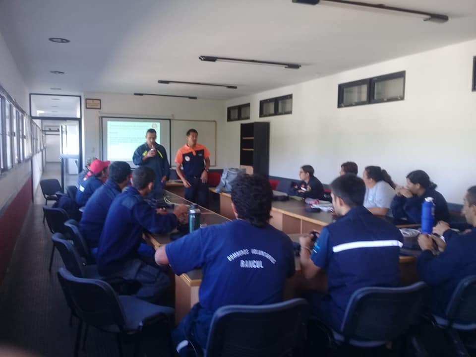 56986768_154861205540835_5462607855393701888_n