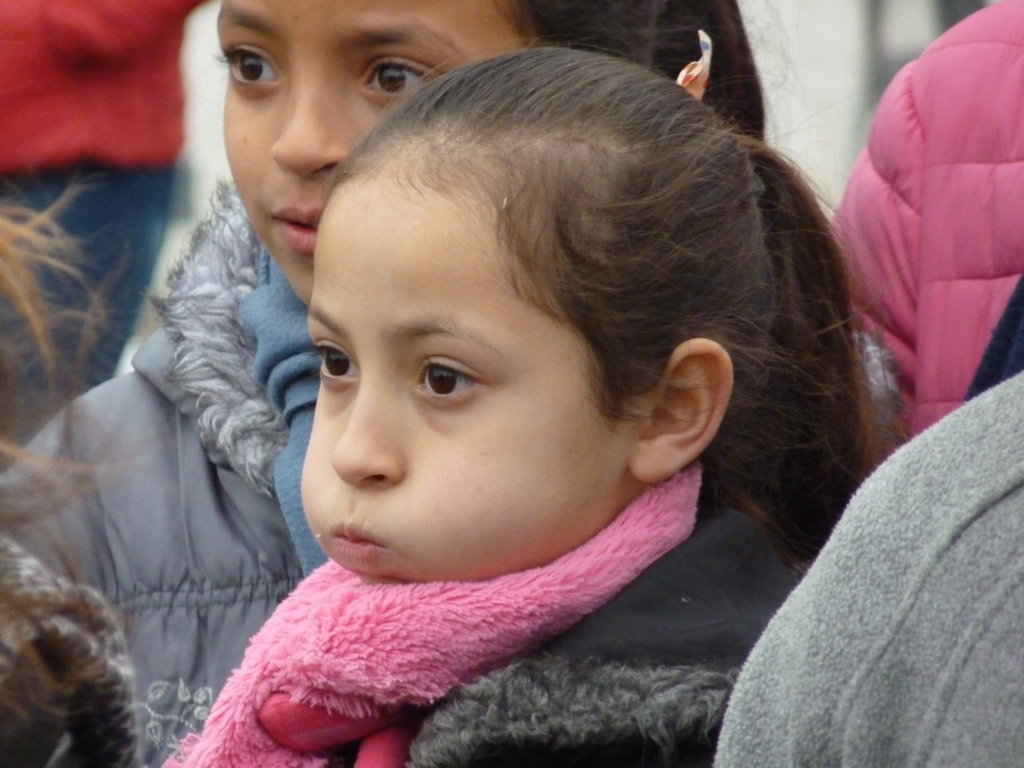 P1250516 (FILEminimizer)