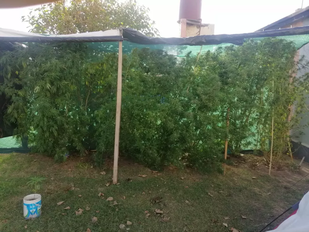 3853d6ca-2af5-4d9e-b94f-07c8e0c534de