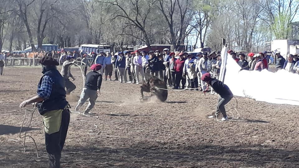 69320672_2642846502393672_4426398316074369024_n