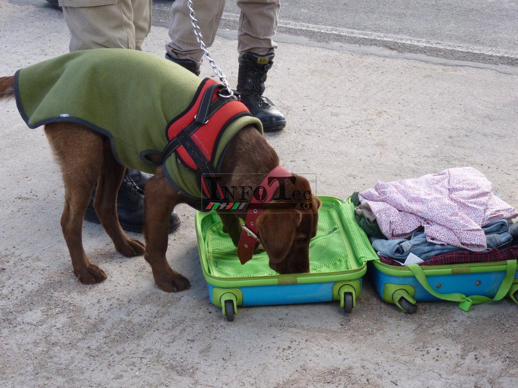 P1240527 (FILEminimizer)