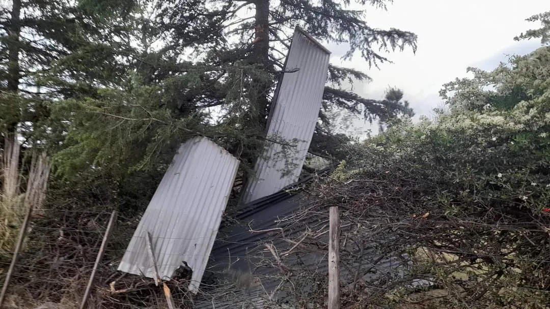 FB_IMG_1697921892747