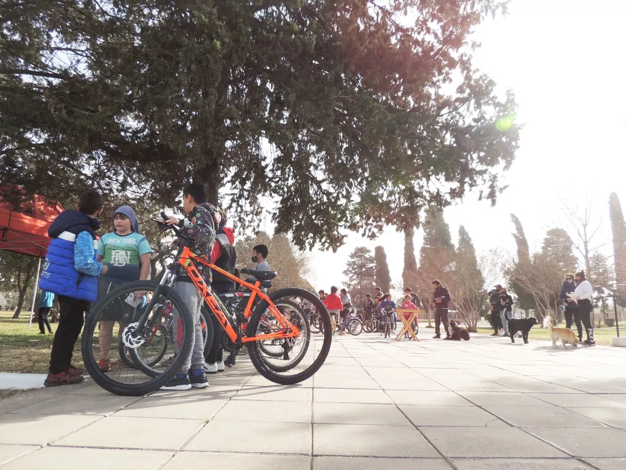 dc5ac4a2-0797-4518-a190-c36b113e2d19