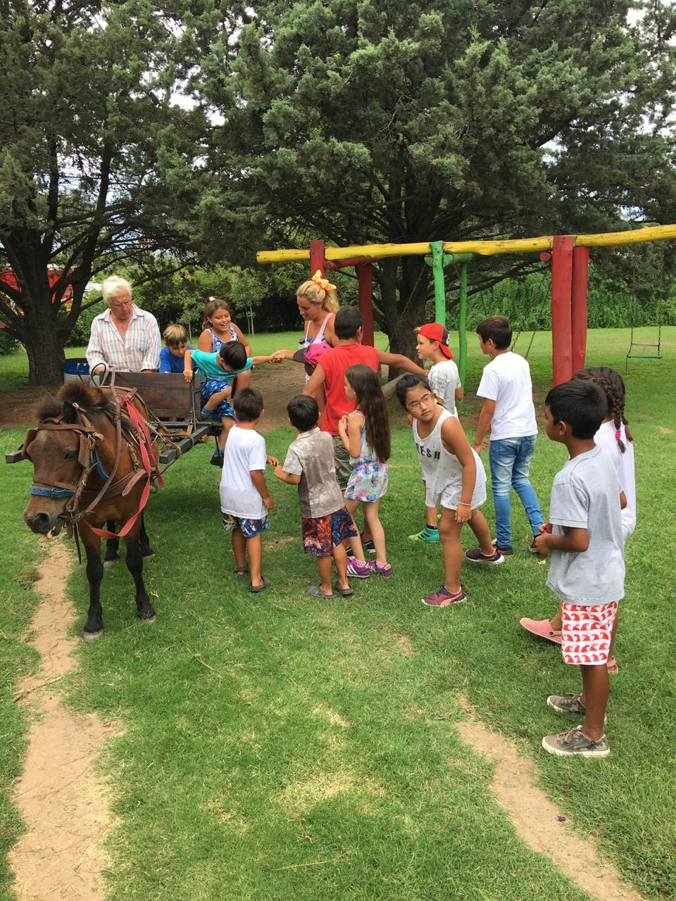 02c4b636-cb07-42fe-9b35-6b5bba6f6200