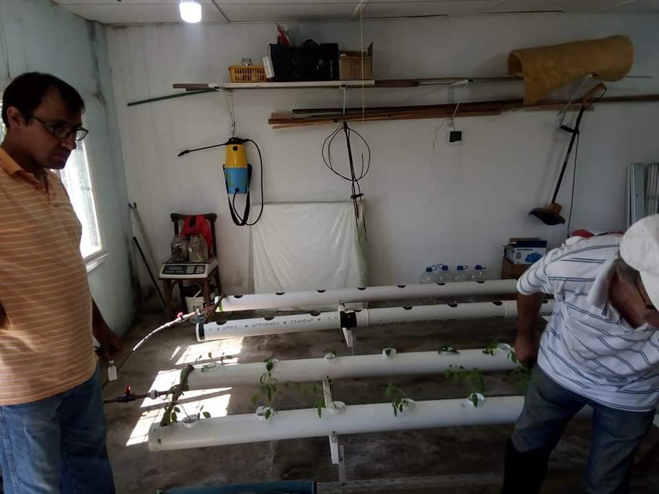 PRODUCTORES AGRICULTURA FAMILIAR 8