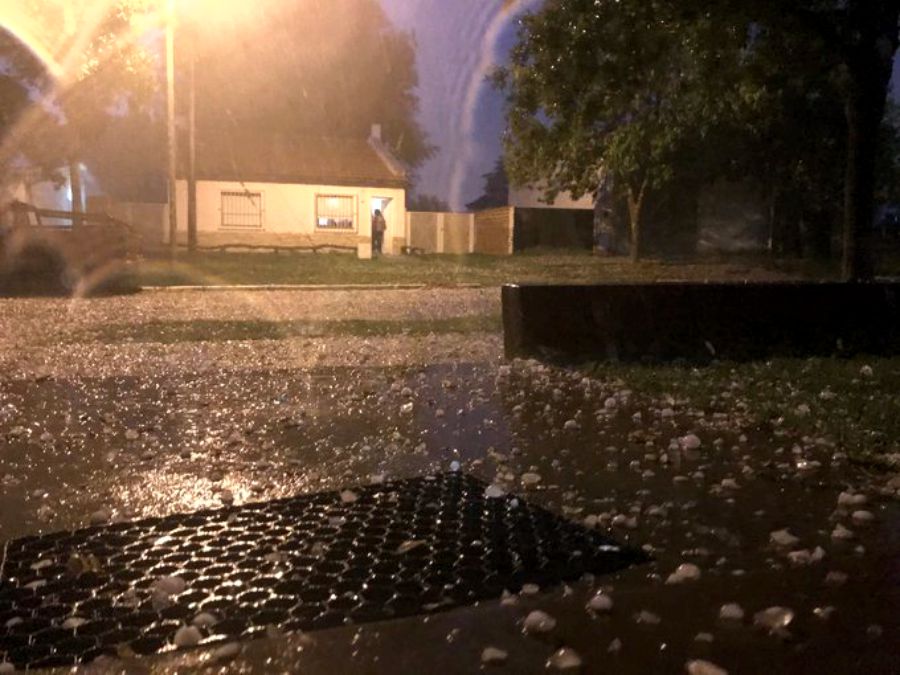 multimedia.normal.b2827882d997d27e.706564726161615f6e6f726d616c2e6a7067