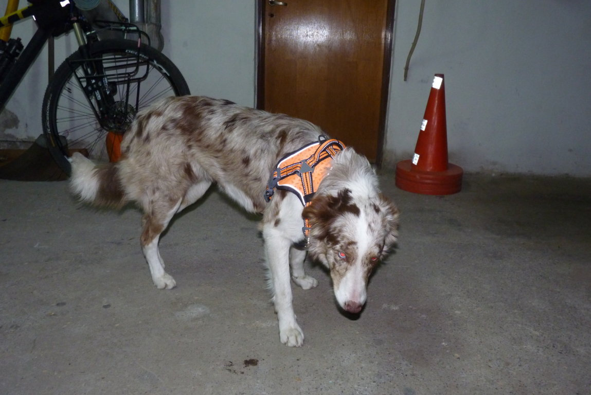 P1390687 (FILEminimizer)