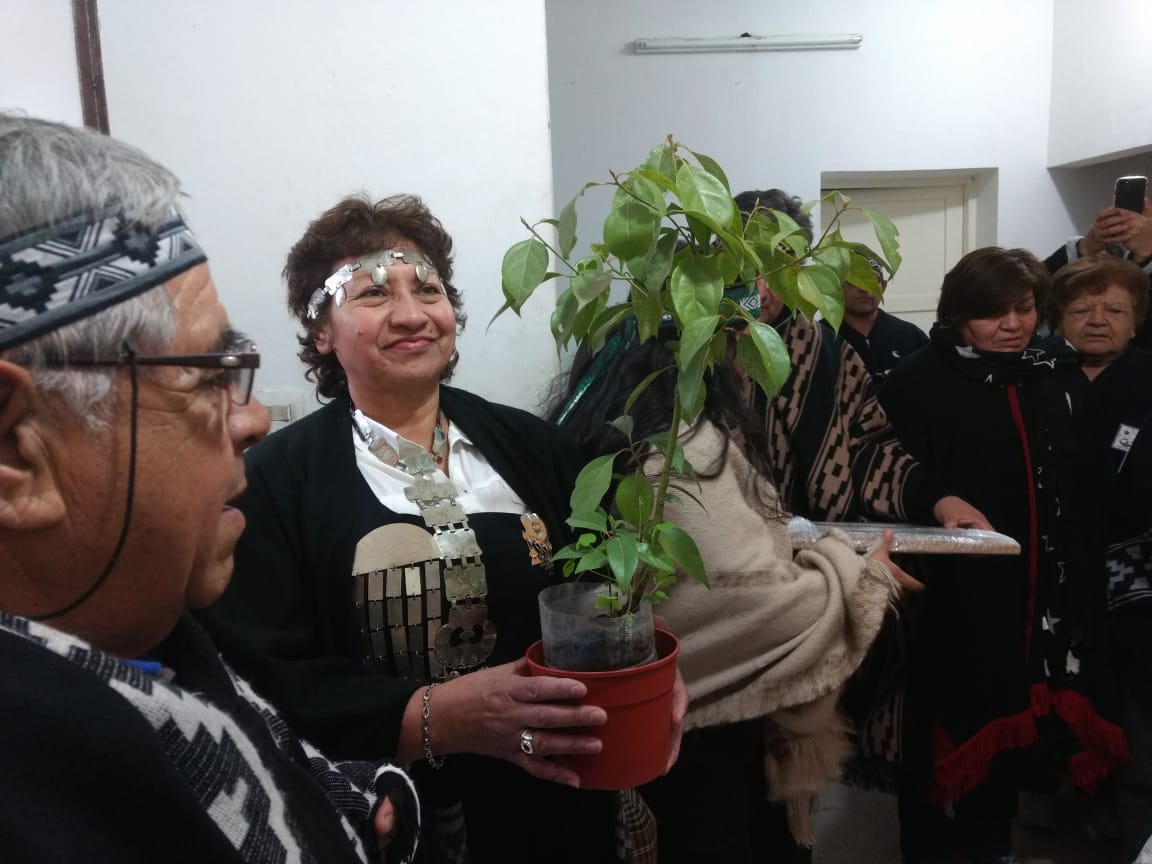 fd1768ba-6935-4566-b447-2d59415be6b6