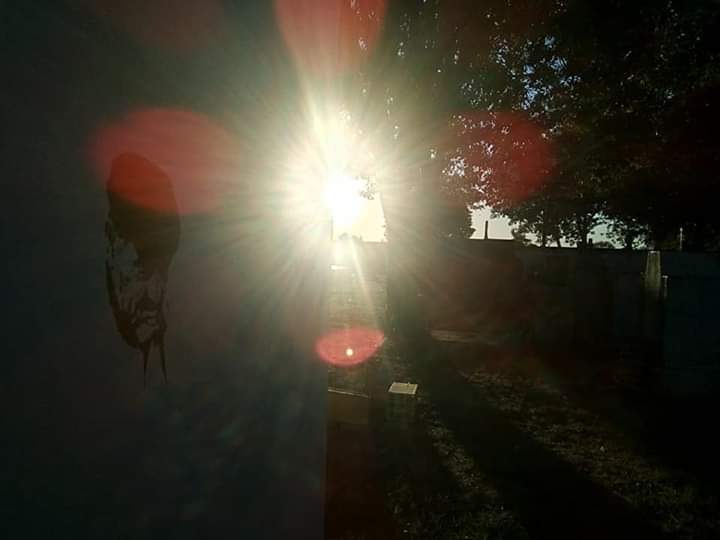 FB_IMG_1572732156259