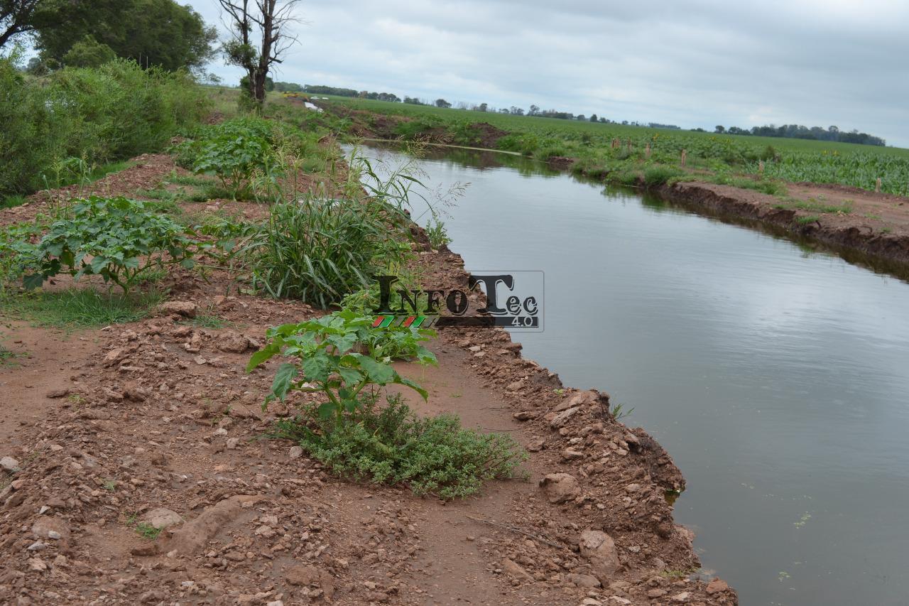 b8d3ee8b-0b92-4905-8f4e-583732db942a