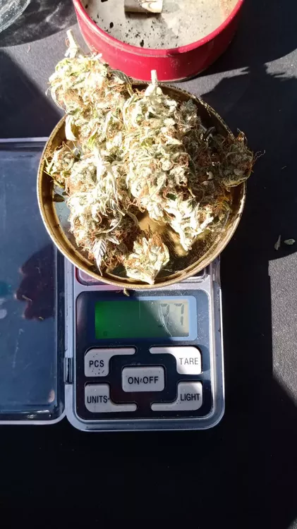 51a8cfb8-71b3-400e-bfcc-3f40d77bc3b6