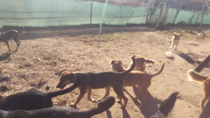 45cd76c6-7a8b-47e4-b40a-04a7d5ba8378