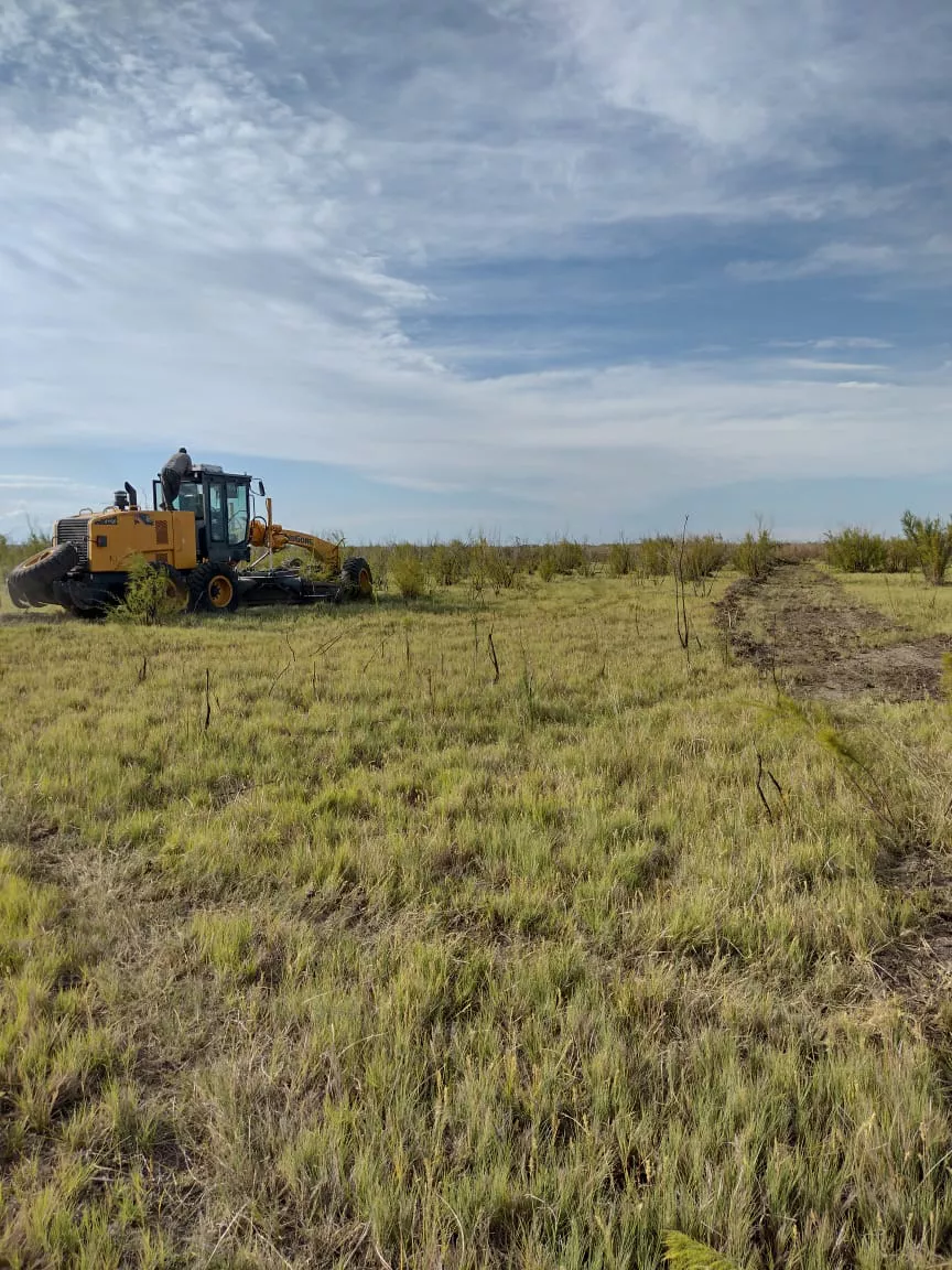 188099_whatsapp-image-2023-01-17-at-20.27.07