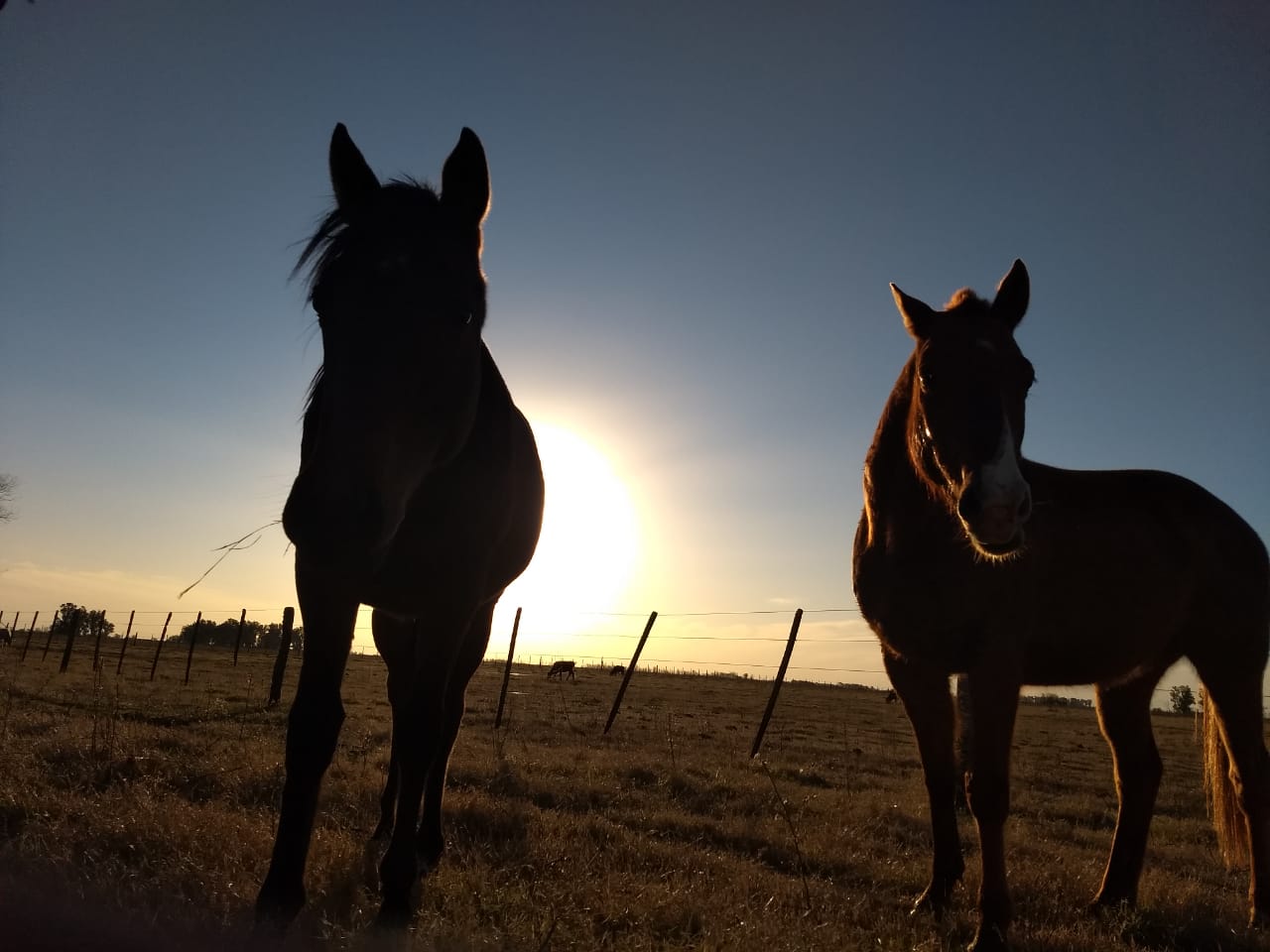 e3bbaef6-26c9-4e9b-a42b-0f05d284c9a5