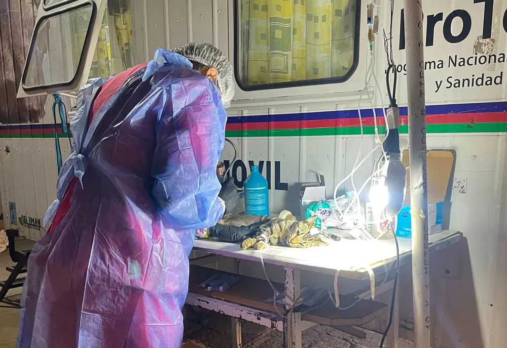 CASTRACIONES 5 (FILEminimizer)