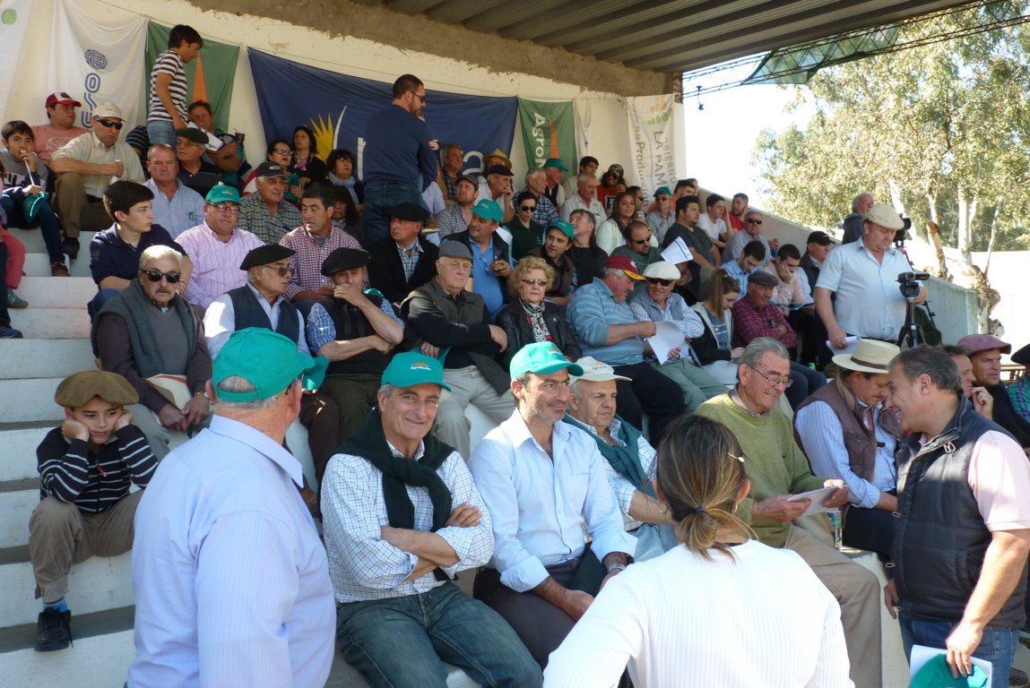 P1410861 (FILEminimizer)